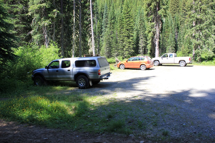 Spruce Tree Campground on the upper St Joe River