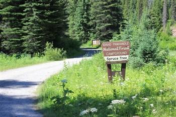 Spruce Tree Campground on the upper St Joe River