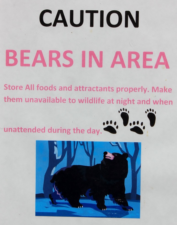 Spruce Tree Campground on the upper St Joe River