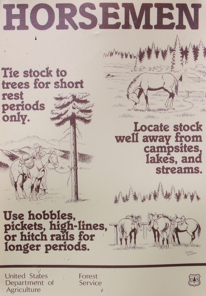 Spruce Tree Campground on the upper St Joe River