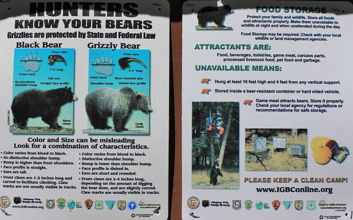 Spruce Tree Campground on the upper St Joe River