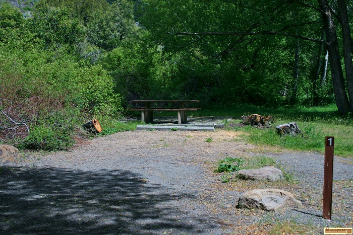 Campsite 1 in Steer Basin Campground.