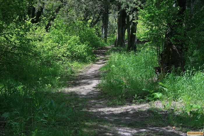i don't know how far this goes but there is a trail along Rock Creek.