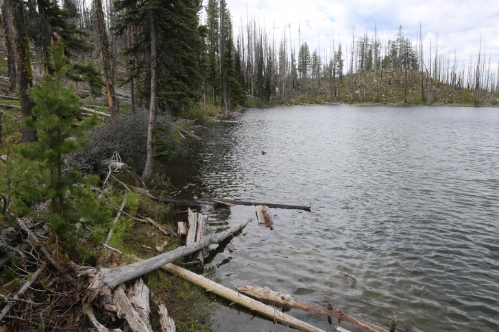 Summit Lake Campground near Warm Lake