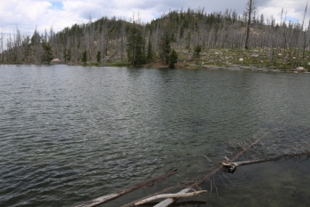 Summit Lake Campground near Warm Lake