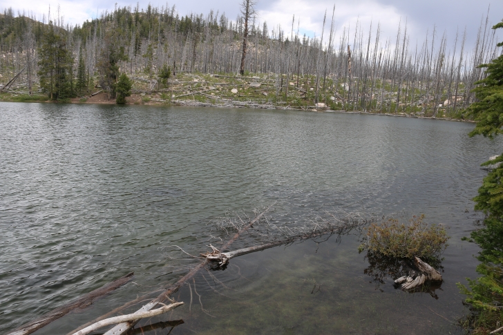 Summit Lake Campground near Warm Lake