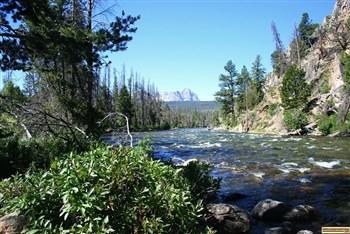 Sunny Gulch Campground on the Salmon River servers as overflow for the Redfish Lake area campgrounds.