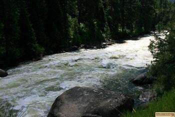 Swinging Bridge Campground