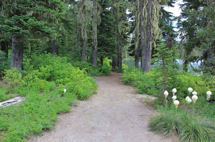 Camping in Washington's Takhlakh Lake Campground.