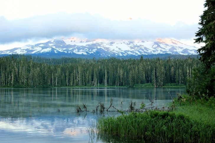 Camping in Washington's Takhlakh Lake Campground.