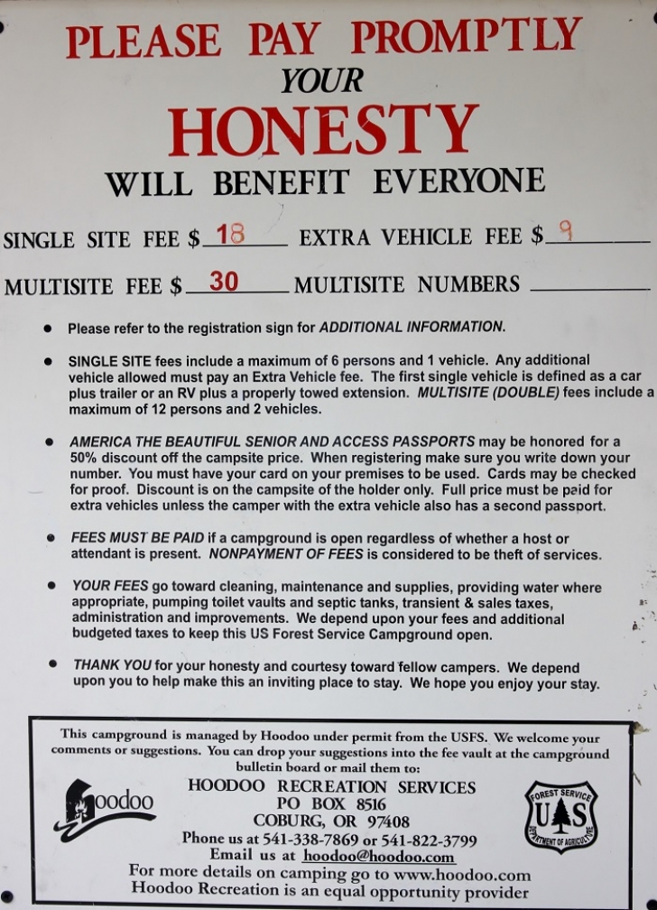 Camping in Washington's Takhlakh Lake Campground.