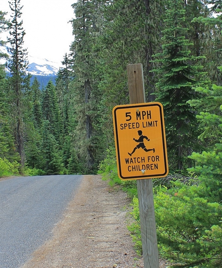 Camping in Washington's Takhlakh Lake Campground.