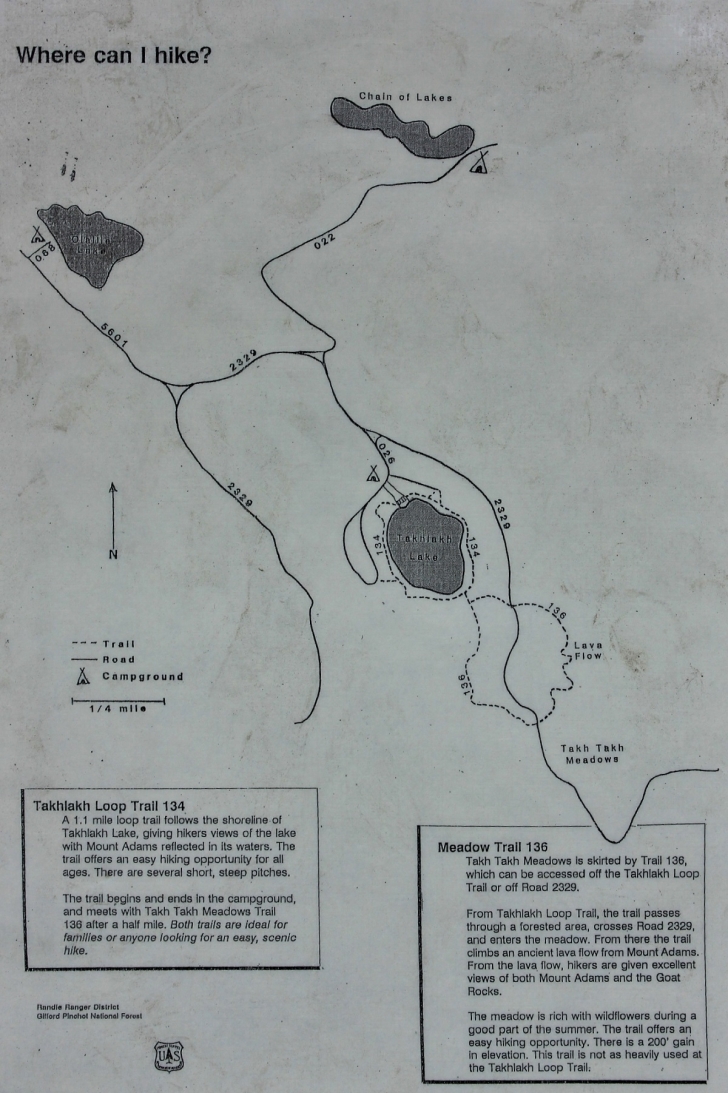 Camping in Washington's Takhlakh Lake Campground.