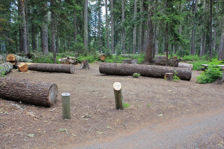 Camping in Washington's Takhlakh Lake Campground.