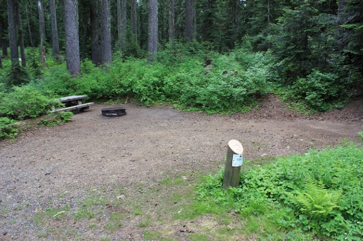 Camping in Washington's Takhlakh Lake Campground.