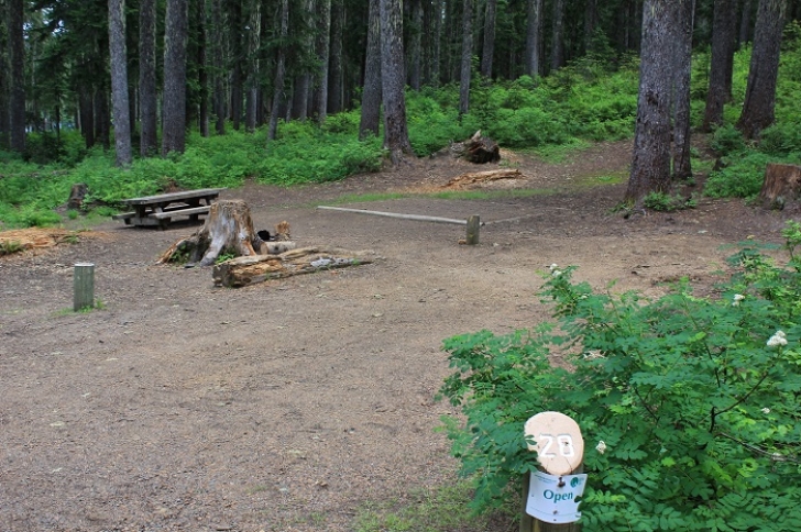 Camping in Washington's Takhlakh Lake Campground.