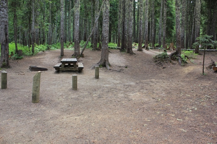 Camping in Washington's Takhlakh Lake Campground.