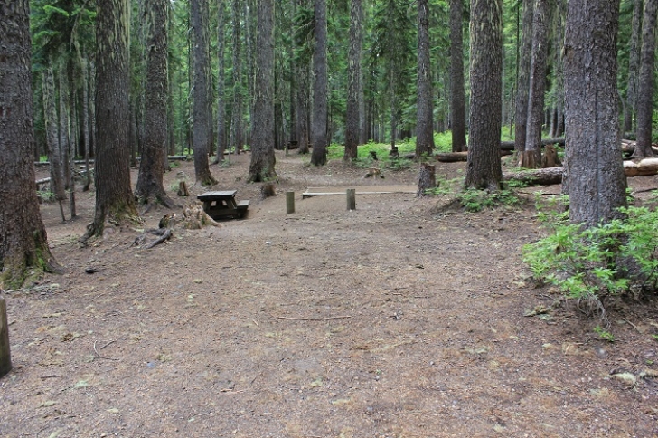 Camping in Washington's Takhlakh Lake Campground.