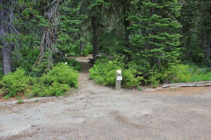 Camping in Washington's Takhlakh Lake Campground.