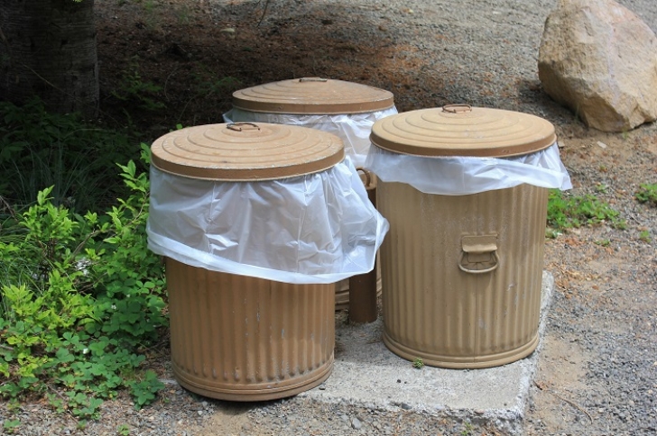 Camping in Washington's Takhlakh Lake Campground.
