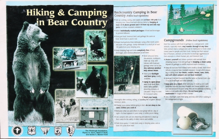 Camping in Oregons Three Creek Meadow Campground.