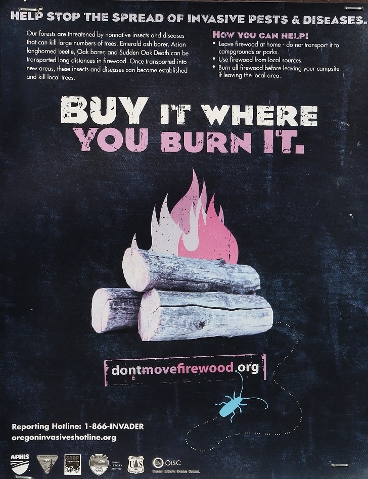 Camping in Oregons Three Creek Meadow Campground.