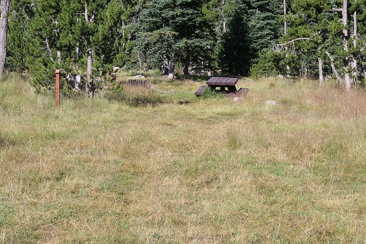Camping in Oregons Three Creek Meadow Campground.