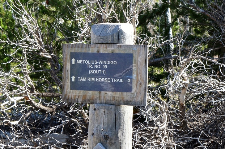 Camping in Oregons Three Creek Meadow Horse Camp.