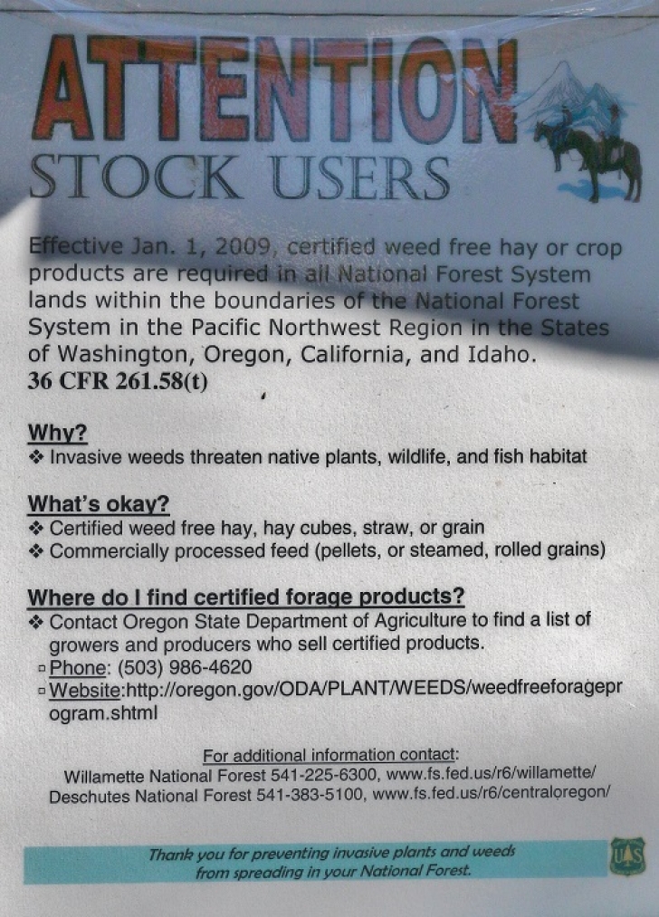 Camping in Oregons Three Creek Meadow Horse Camp.