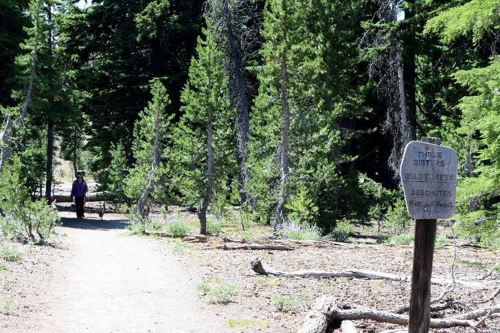 Camping in Oregons Three Creek Lake Campground.
