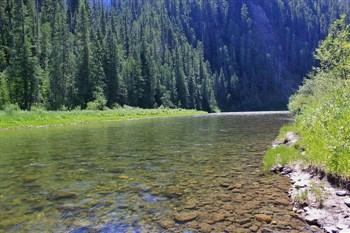 Tin Can Flat Campground