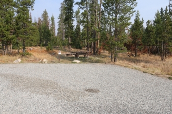 This is a view of site 1 in Trap Creek Campground.