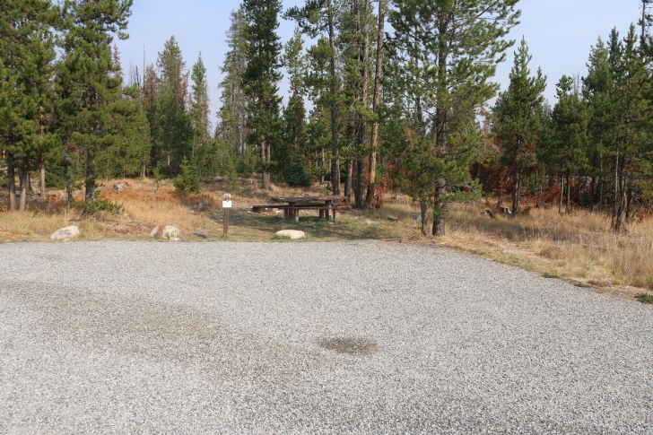 A guide to camping in Trap Creek Campground near Stanley Idaho