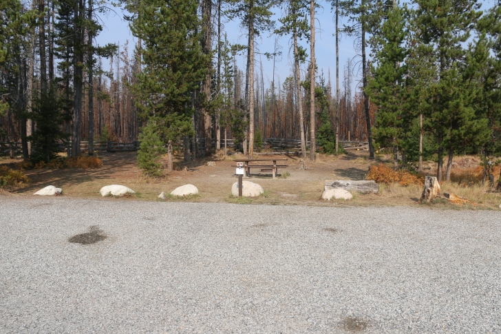 A guide to camping in Trap Creek Campground near Stanley Idaho