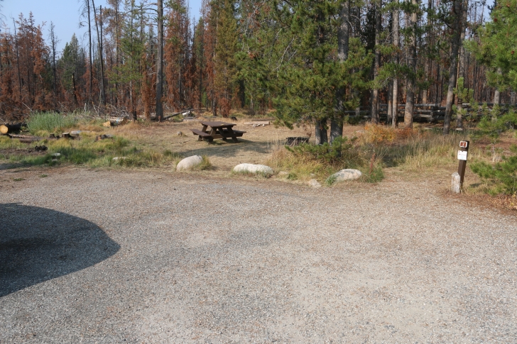 A guide to camping in Trap Creek Campground near Stanley Idaho
