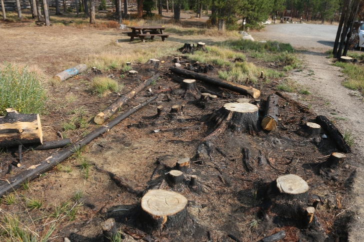 A guide to camping in Trap Creek Campground near Stanley Idaho