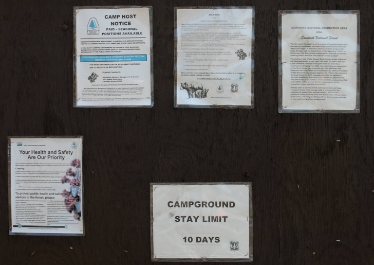 A guide to camping in Trap Creek Campground near Stanley Idaho