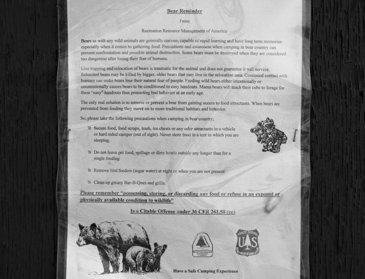 A guide to camping in Trap Creek Campground near Stanley Idaho