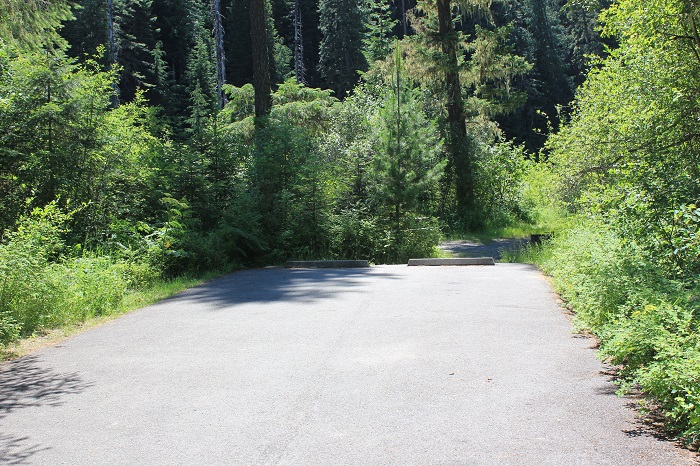 Turner Flat Campground on the St Joe River.