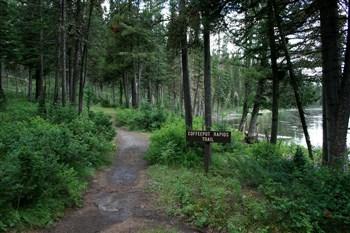 Upper Coffee Pot Campground