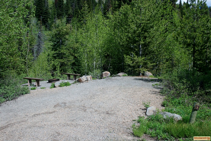 Campsite # 1 in Upper Penstemon Campground.