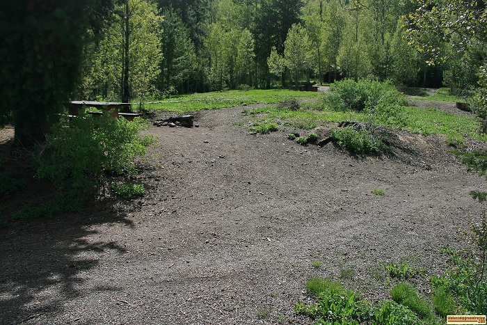 Campsite # 4 in Upper Penstemon Campground.