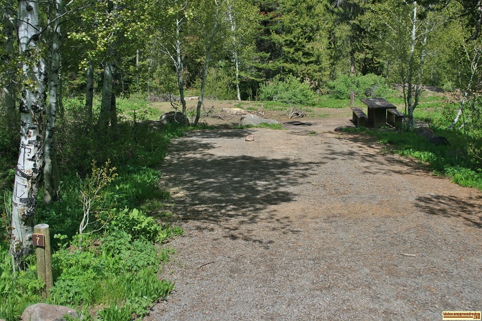 Campsite # 7 in Upper Penstemon Campground.