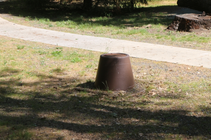 Camping at the Valley of the Rogue State park in Oregon.
