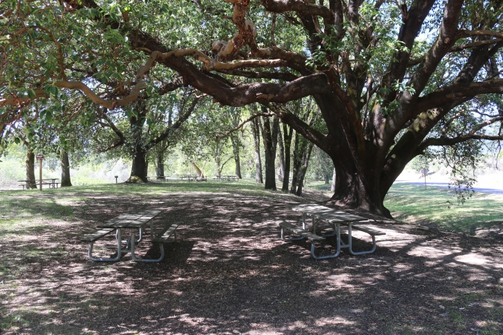 Camping at the Valley of the Rogue State park in Oregon.
