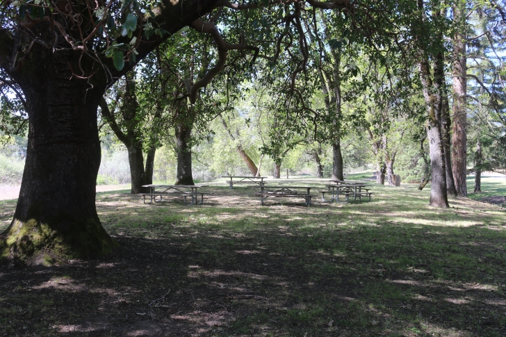Camping at the Valley of the Rogue State park in Oregon.