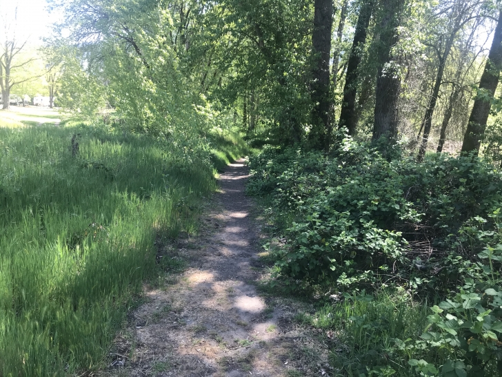 Camping at the Valley of the Rogue State park in Oregon.