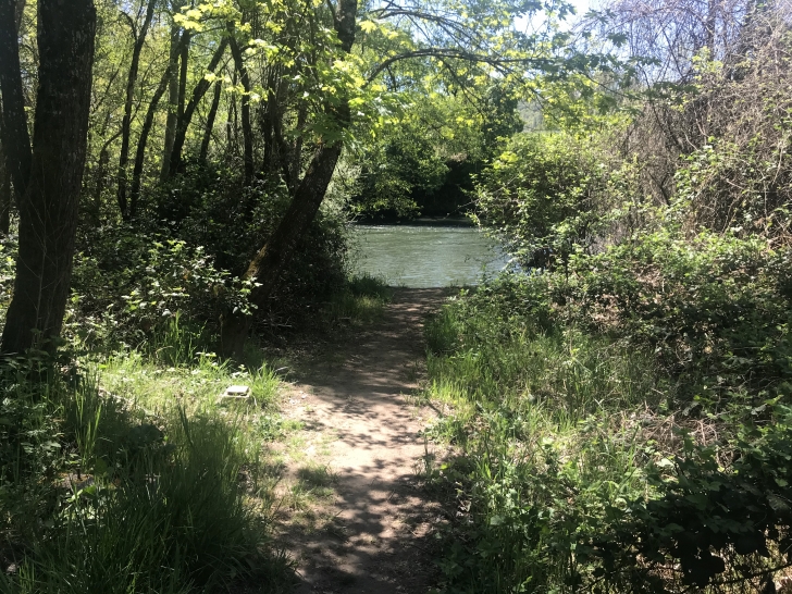 Camping at the Valley of the Rogue State park in Oregon.
