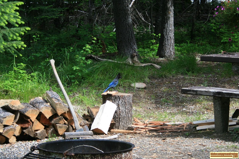 Wendover Campground on the Lochsa River