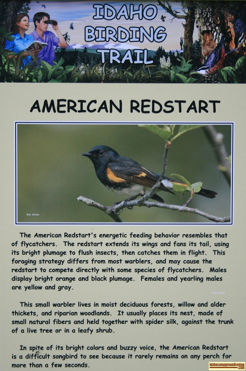 Wilderness Gateway Campground on the Lochsa River